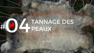 TANNAGE DES PEAUX │LFDT 04 [upl. by Godliman]