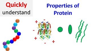 Methods of Protein Precipitation [upl. by Gusty]