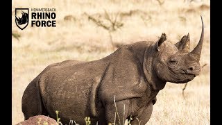 Rhino Forces AntiPoaching and Conservation War against Rhino Extinction [upl. by Magdau141]