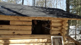 Building a Cedar Sauna in the Forest using hand tools Ep 23 Windows and Walls [upl. by Maddi837]