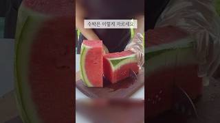 제일 깔끔한 수박 자르기 살림 코스트코 costco watermelon [upl. by Arocet323]