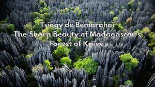 Tsingy de Bemaraha The Sharp Beauty of Madagascars Forest of Knives [upl. by Aan673]