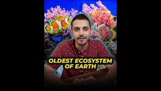 Oldest Ecosystem Of Earth  Explainer 11  Mansoor Qureshi Maani [upl. by Ijneb]