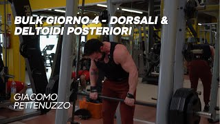 BULK GIORNO 4  DORSALI amp DELTOIDI POSTERIORI [upl. by Merla]