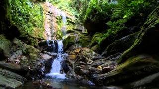 The Green Heart of Sabah  Imbak Canyon [upl. by Innus398]