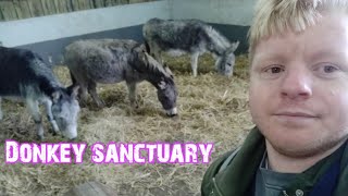 Isle of Wight Donkey sanctuary  Day 8 Part one [upl. by Ycats253]