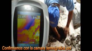 Deteccion de tuberia de drenaje pluvial  y localizacion taponamiento [upl. by Kosse]