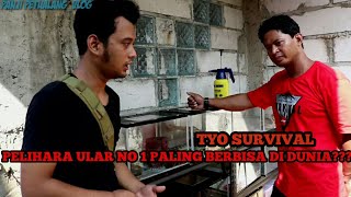 WOW TYO SURVIVAL PELIHARA ULAR TAIPANNO 1 PALING MEMATIKAN DI DUNIA [upl. by Yeslrahc]