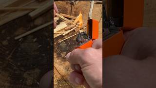 Fatwood tinder fatwood firestarter fatwood harvesting bushcraft fatwood [upl. by Euqina]