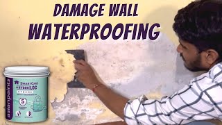 How to Repair Damp Wall  Wall Waterproofing Treatment  Asian Paints Hydro Loc [upl. by Hahsi536]