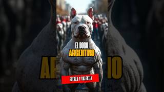 Dogo Argentino El Poder Imparable de la Dominancia y Valentía [upl. by Lette95]