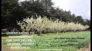 Understanding the Phytohormones and their Influence on Small Orchard Management [upl. by Neelasor]