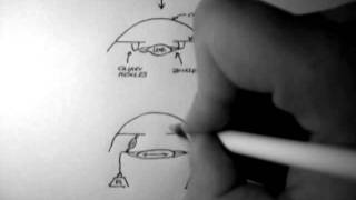 Ciliary Muscle Contraction [upl. by Filippo]