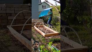 Mini greenhouse😍greenhousehorticultureagriculturegarden diy garden summergrowgreenshorts [upl. by Ahtikal]