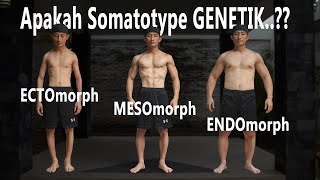 Tipe Tubuh Manusia Ectomorph Mesomorph dan Endomorph [upl. by Ellerad154]