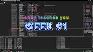 Week 1 The BASICS of Dynamic Reverse Engineering Cracking [upl. by Dulcy]