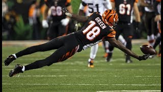 AJ Green  Lockjaw  NFL Highlights ᴴᴰ [upl. by Adiol]