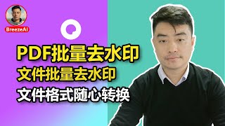 如何批量去除PDF水印，轻松转换文件格式，AI智能去水印，支持Win和Mac系统 [upl. by Nomael]