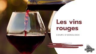 COURS OENOLOGIE  Les vins rouges [upl. by Beulah565]