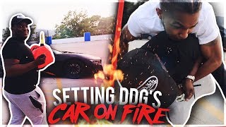 LIGHTING DDGS NEW i8 ON FIRE PRANK   crazy reaction [upl. by Norrag]