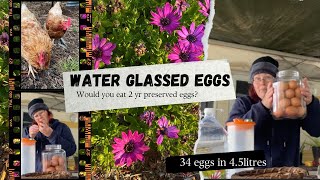 PRESERVING ORGANIC EGGS Water Glassed Eggs is a Homesteading favourite offgridlife aussielife [upl. by Monto]