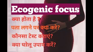 Echogenic focus  Complete Detail In Hindi [upl. by Kendy296]