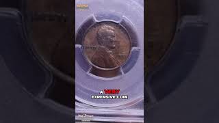 Rare 1909S VDB Wheat Cent A Closer Look at an Expensive Coin [upl. by Wartow909]