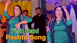 Salgai Salgai  Fish Rani Dance Performance  Pashtoo Song  Punjab Studio Official [upl. by Ahtoelc]