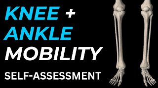 Knee  Ankle Mobility SelfAssessment [upl. by Cates]