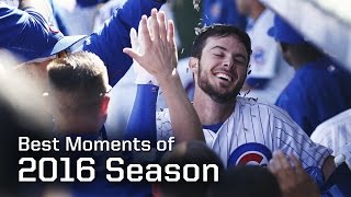 MLB Chicago Cubs Best Moments of 2016 Regular Season  Season Highlights [upl. by Eesdnil449]