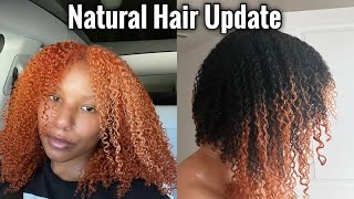 BLEACHING MY HAIR WAS A MISTAKE  1 Year amp 6 Months Of New Growth [upl. by Jonathon]