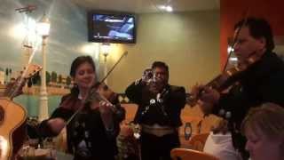 Authentic Mexican Mariachi band in Edmonton [upl. by Terrena]