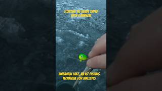 Ice fishing Wabamun Lake 2024  Floating Jig Heads for Walleye northlandtackle [upl. by Acyre]