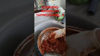 KUŞBURNU MARMELATI YAPIMI SÜZME  3 [upl. by Sharos]