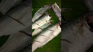 Arati akulo chepala masali freyfishfry spicelfish frey [upl. by Grae759]