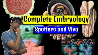 Complete Embryology  Spotters and VIVA  Anatomy Practical  1st Year MBBS IOM TU [upl. by Gamal803]