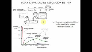 Respuesta CardioRespiratoria Ejercicio Yanina Zócalo Parte 1 [upl. by Nievelt89]