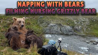 Amazing Afternoon PhotographingFilming Nursing GrizzlyBrown Bears in Alaska [upl. by Richmal]