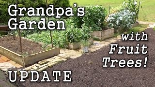 Raised Beds amp Edible Landscape Grandpas Garden Year 2 Fruit Trees [upl. by Reg]