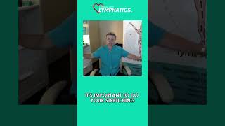 How Does Fat Leave Your System health lymph lymphatichealth [upl. by Iahc]