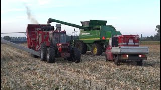 Maïs 2012  Rovers aan het dorsen en malen  John Deere 9780 CTS  Case IH 1056 met Stade hamermolen [upl. by Morlee]