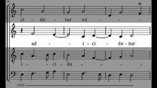 ALTO practice Isaac Primum Quaerite [upl. by Llenoil]