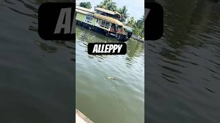 lifestyle backwaterstravel kerala alleppeybackwaters [upl. by Warfold]