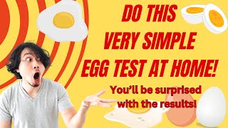 How Determine the Freshness of Eggs [upl. by Saideman]