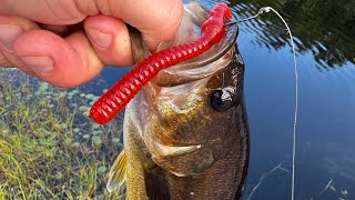 Arnprior Ontario Fishing Highlights June 2023 [upl. by Mccowyn491]