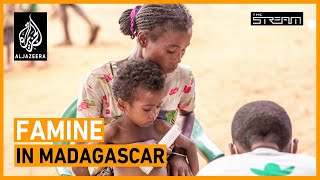 🇲🇬 Why has climate change caused famine in Madagascar  The Stream [upl. by Libys]