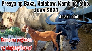 LIVESTOCK UPDATED PRICES Cattle Trading Capital of the Philippines Baka Kalabaw Kambing atbp [upl. by Lawry497]