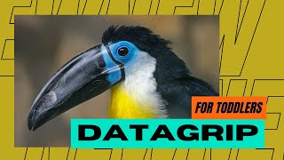 Get Started with JetBrains DATAGRIP A Professional Database Management Tool for ANY DATABASE [upl. by Einnov937]