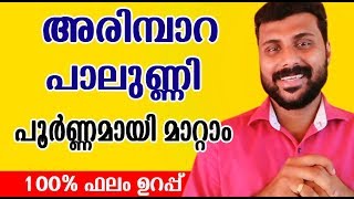 അരിമ്പാറ പാലുണ്ണി എളുപ്പത്തിൽ മാറ്റം How to get Rid Warts NEW TIPS [upl. by Eissehc691]