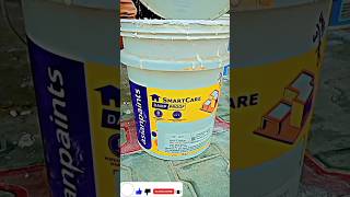 Asian Paints Damp Proof  Waterproofing shorts viral youtubeshorts viralshort 🔥🔥 [upl. by Pantia]